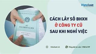 Cách Kiểm Tra Công Ty Đã Đóng Bảo Hiểm Chưa