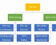 Dữ Liệu Là Gì Tin Học 6