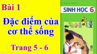 Sinh Học Lớp 6 Là Gì