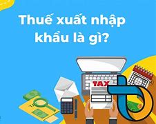 Thuế Xuất Nhập Khẩu Thuộc Loại Thuế Gì