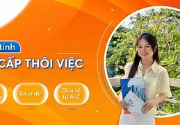 Ví Dụ Cách Tính Trợ Cấp Thôi Việc 2021 Nhật