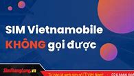 Vietnamobile Không Gọi Được